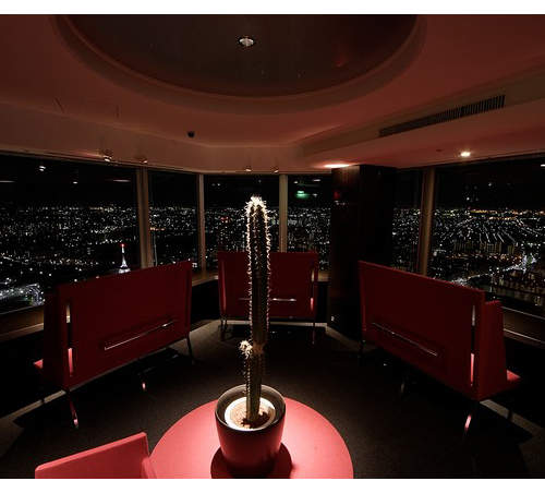 歡迎無家可歸的孤單女子　高級網咖大門為你而開