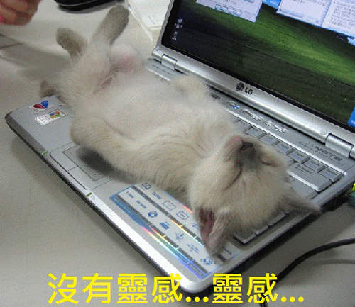 電影影集化  好萊塢也沒梗了? 電影影集化  好萊塢也沒梗了?