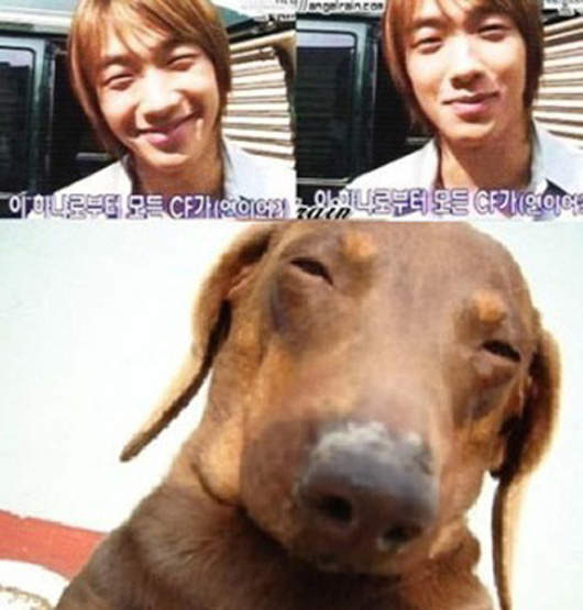 KR明星！擁有可愛狗狗臉~