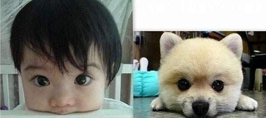 超級明星臉 搞笑版第三趴!!! (大誤…像些莫名其妙的東西…嘻嘻)