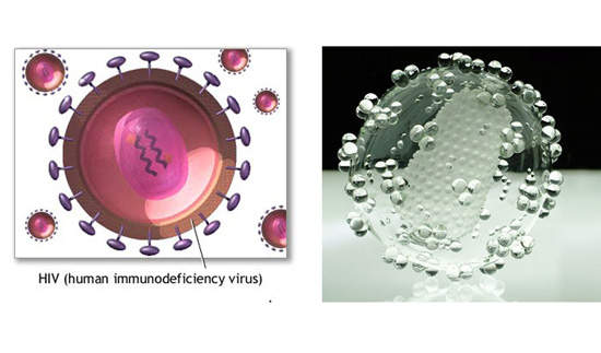 病毒藝術:那些眼睛看不到的微生物 病毒藝術:那些眼睛看不到的微生物