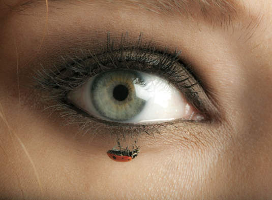 蟲蟲時尚 蛋白質女孩的新選擇 蟲蟲時尚 蛋白質女孩的新選擇