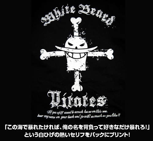 有海軍怎可沒海賊 白鬍子海賊團 參上!! 有海軍怎可沒海賊 白鬍子海賊團 參上!!