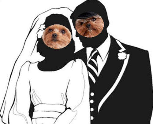 兩隻狗的百萬婚禮