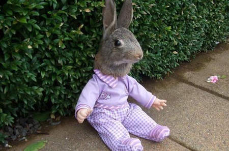 異種標本 標本家的異想世界 異種標本 標本家的異想世界