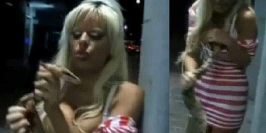 以色列模特兒福克斯(Orit Fox)被蛇咬~反而蛇死掉了  以色列模特兒福克斯(Orit Fox)被蛇咬~反而蛇死掉了