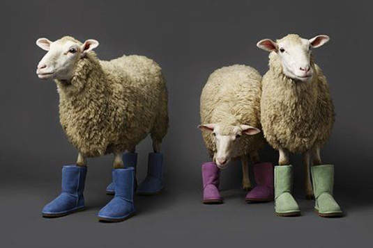 穿靴子的小動物~可愛! 穿靴子的小動物~可愛!