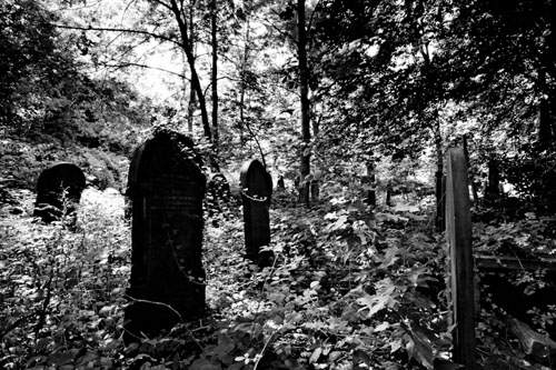 藝術家勝地:雪菲爾德公墓 藝術家勝地:雪菲爾德公墓