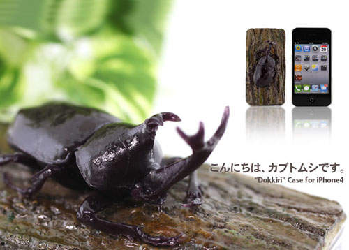 獨角仙哀鳳殼 這是假的!別拿網子抓我 獨角仙哀鳳殼 這是假的!別拿網子抓我