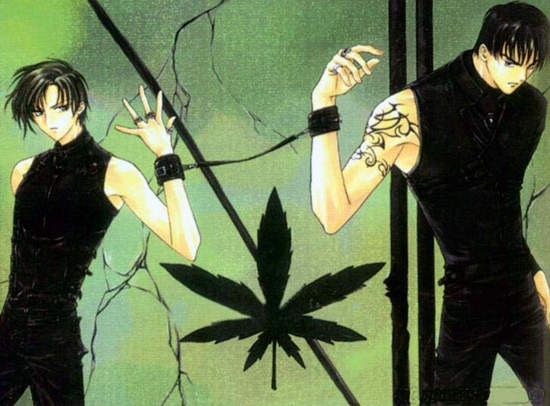 CLAMP《迷幻藥局》連載重開！