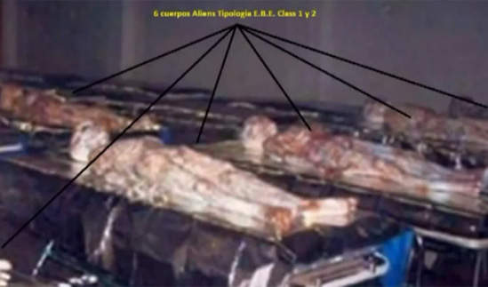 《羅斯威爾飛碟事件》外星人屍體照流出?! 《羅斯威爾飛碟事件》外星人屍體照流出?!