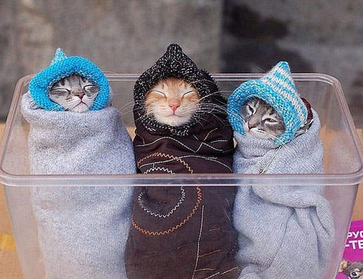 呼～這些照片看著就好冷喔(抖)