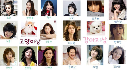 小貓小狗臉的韓國女藝人 小貓小狗臉的韓國女藝人