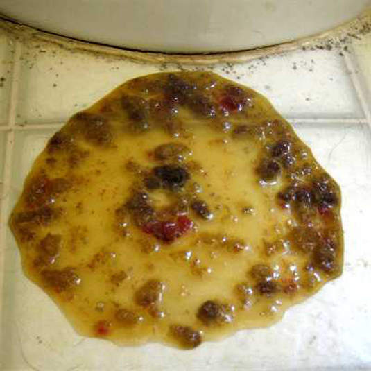 媽的！我一早就吐了><(不是宿醉！)超擬真嘔吐物玩具 ！