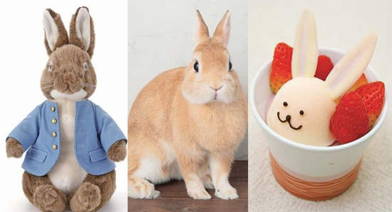 新年快樂!兔年產品報報報! 新年快樂!兔年產品報報報!