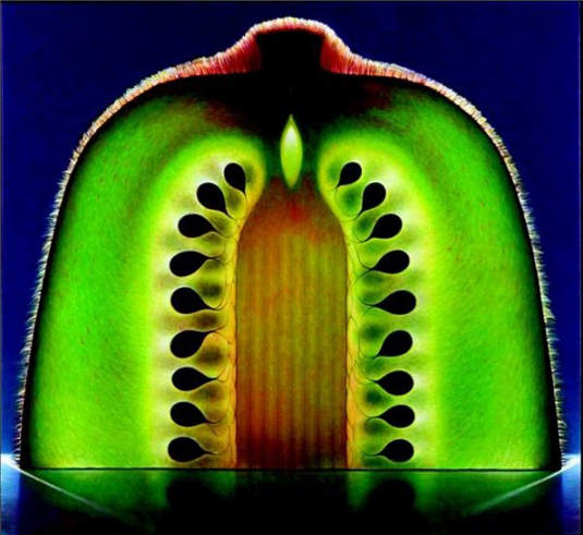 透感派的超逼真水果油畫～♣