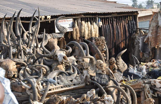 《巫術市場》裡頭什麼死人骨頭都買得到？！