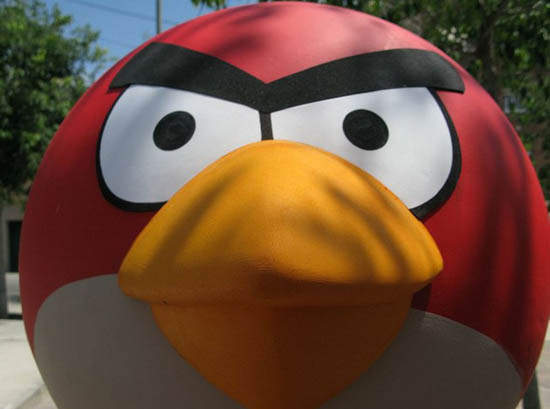 真實的憤怒鳥遊戲!看他們怎麼轟炸豬頭 真實的憤怒鳥遊戲!看他們怎麼轟炸豬頭