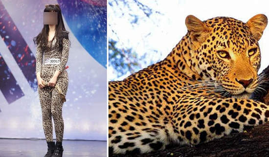 韓版比莉姊 《朴慧源》 一天沒有豹紋就覺得不對勁