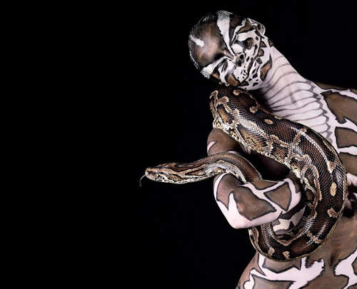 化為動物的攝影師：Lennette Newell