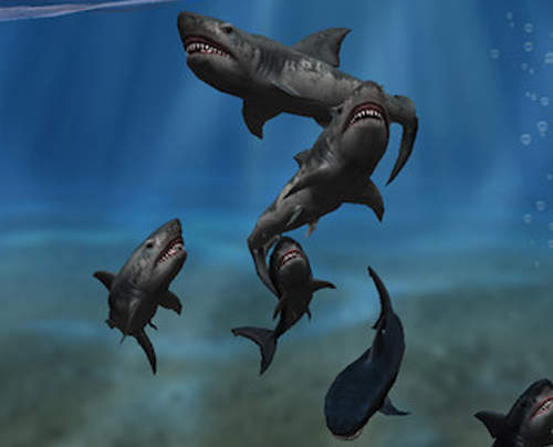 哀鳳鯊鯊鯊 其實就這樣看著鯊魚發呆也不錯… 哀鳳鯊鯊鯊 其實就這樣看著鯊魚發呆也不錯…