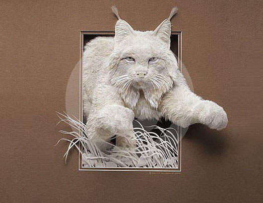 立體紙雕 使用手術刀切割的藝術