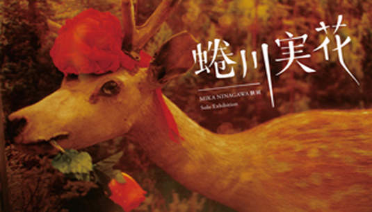 蜷川實花ლ (́✿౪◟✿) ლ7/23要來台灣展出攝影作品啦! 蜷川實花ლ (́✿౪◟✿) ლ7/23要來台灣展出攝影作品啦!