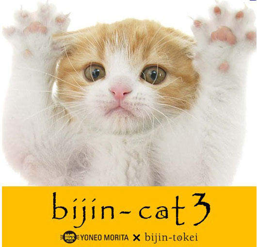 「貓咪時計」讓貓咪寶貝來替你報時吧喵~❤ 「貓咪時計」讓貓咪寶貝來替你報時吧喵~❤