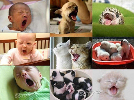 來~大家準備來打哈欠吧(啊~~~) 來~大家準備來打哈欠吧(啊~~~)