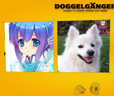 人狗配對網站 相似度80%UP 人狗配對網站 相似度80%UP