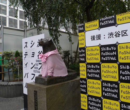 涉谷八公也換新裝★一日限定的粉紅襯衫LOOK★ 涉谷八公也換新裝★一日限定的粉紅襯衫LOOK★