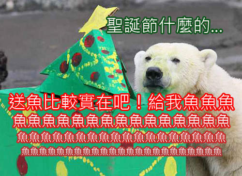 《聖誕節動物好禮》送吃的比較實在呀~(嚼) 《聖誕節動物好禮》送吃的比較實在呀~(嚼)