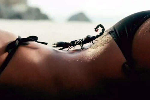 性感廣告《Fiat 500C Abarth》一段毒蠍與上空美女的故事~ 性感廣告《Fiat 500C Abarth》一段毒蠍與上空美女的故事~