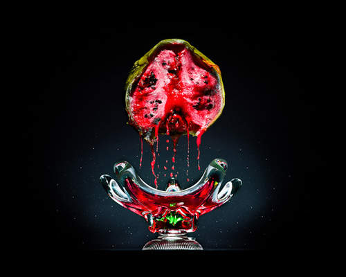 《腐壞食物寫真》提醒大家不要再浪費食物囉! 《腐壞食物寫真》提醒大家不要再浪費食物囉!