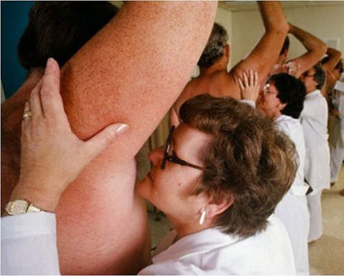 兒時夢想工作排行榜 小時候的希望長大後能成真嗎? 兒時夢想工作排行榜 小時候的希望長大後能成真嗎?