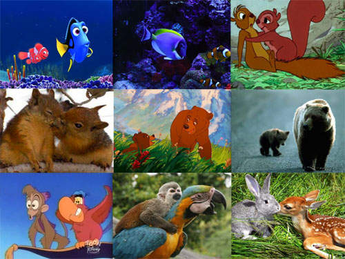 《迪士尼角色真實版》真的不是幻想~現實生活中的迪士尼動物~ 《迪士尼角色真實版》真的不是幻想~現實生活中的迪士尼動物~