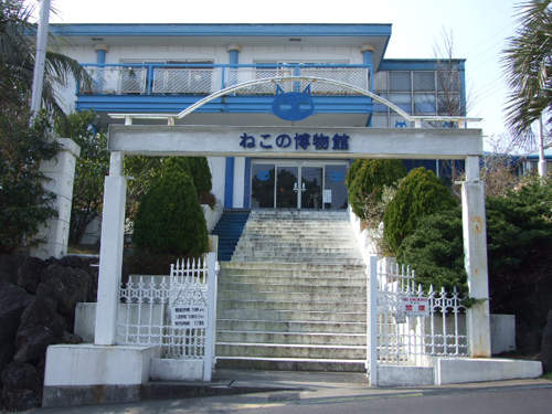 《貓咪博物館》~世界貓貓大集合! 《貓咪博物館》~世界貓貓大集合!
