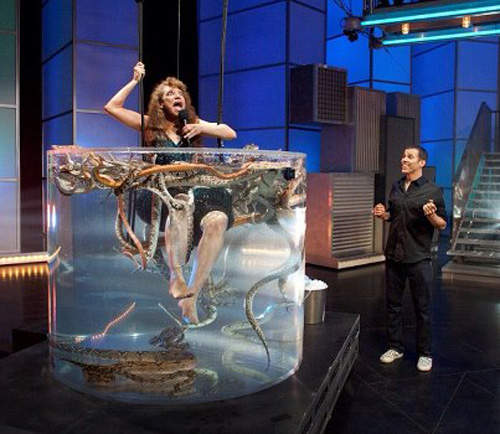 殺手卡拉OK Steve O主持的超口怕歌唱節目