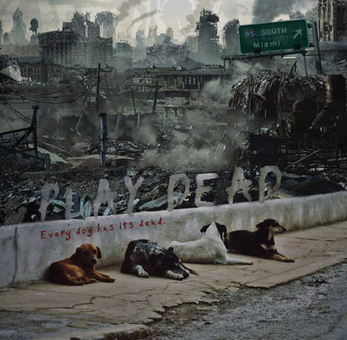 《PLAY DEAD》當狗狗遇上殭屍...有點哀傷的微電影短片 《PLAY DEAD》當狗狗遇上殭屍...有點哀傷的微電影短片