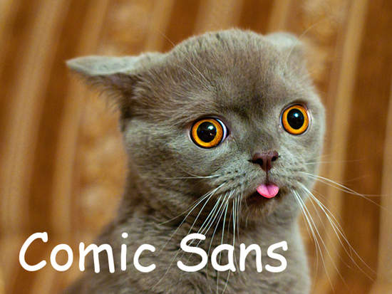 貓的～我的電腦字型才沒有這麼可愛