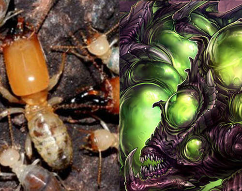 自爆白蟻 任務了解...自爆扭(按) 自爆白蟻 任務了解...自爆扭(按)