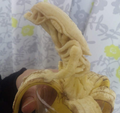 《香蕉雕刻》地球上最危險的香蕉應該都在這了！