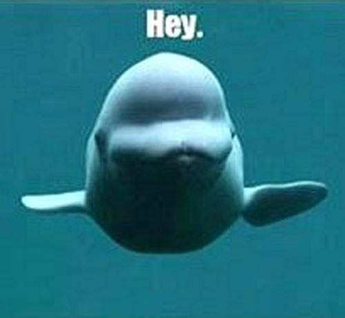 Hey~~走路要小心 Hey~~走路要小心