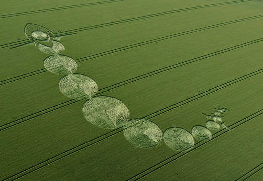 麥田圈再現英國!外星人也是來看奧運的嗎? 麥田圈再現英國!外星人也是來看奧運的嗎?