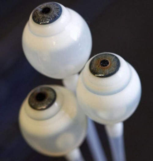 德國義眼專賣店 火紅眼、血輪眼都可以來這訂製(誤) 德國義眼專賣店 火紅眼、血輪眼都可以來這訂製(誤)