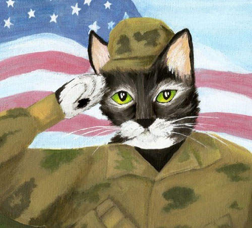 喵的《戰鬥裝》~喵喵也能上戰場啦 喵的《戰鬥裝》~喵喵也能上戰場啦