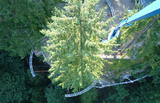 好膽賣走～「懸崖步道」「高空吊橋」考驗你的膽量！