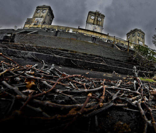 横濱舊根岸賽馬場廢墟 你敢來探險嘛? 横濱舊根岸賽馬場廢墟 你敢來探險嘛?