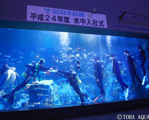 《潛水入社式》日本的社會新鮮人還真多考驗(揮汗) 《潛水入社式》日本的社會新鮮人還真多考驗(揮汗)