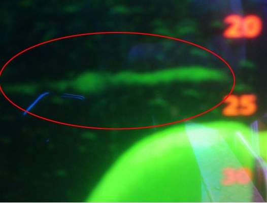 《尼斯湖水怪》再現蹤跡?尼斯湖觀光船探到不明生物 《尼斯湖水怪》再現蹤跡?尼斯湖觀光船探到不明生物